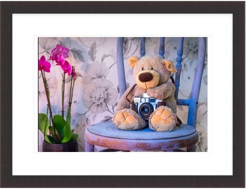 Teddy Bear Camera Orchids Scene Chair Chalk Paint